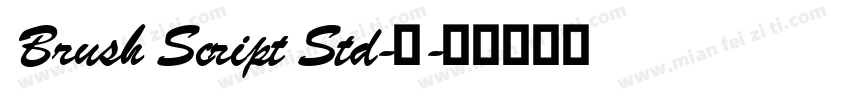 Brush Script Std-中字体转换